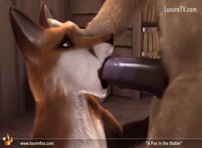 Video :Horse fucking a coyote in the ass in horse anal sex